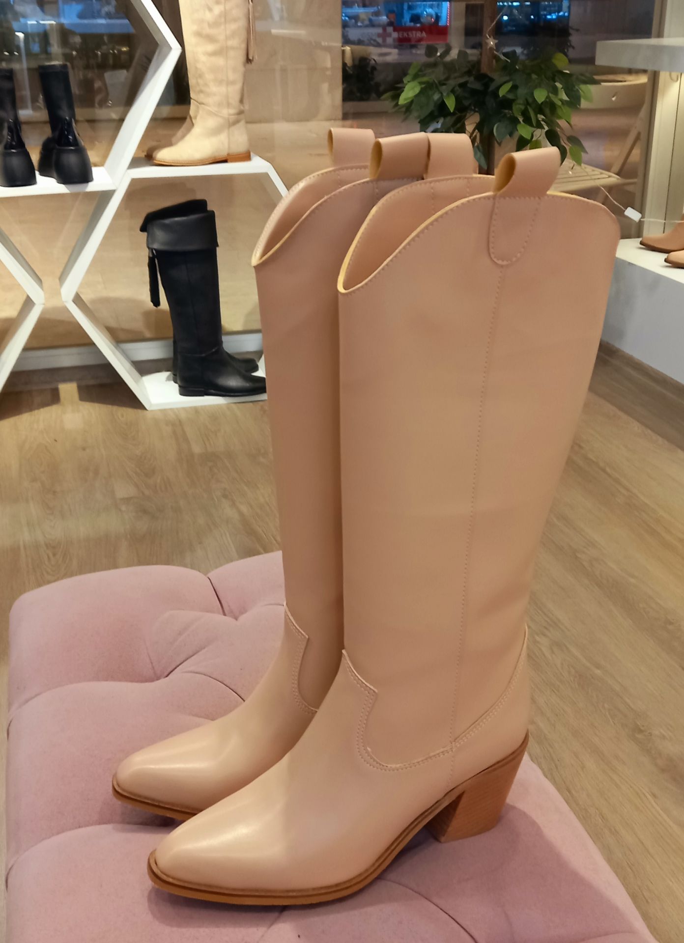 Western nude cilt çizme